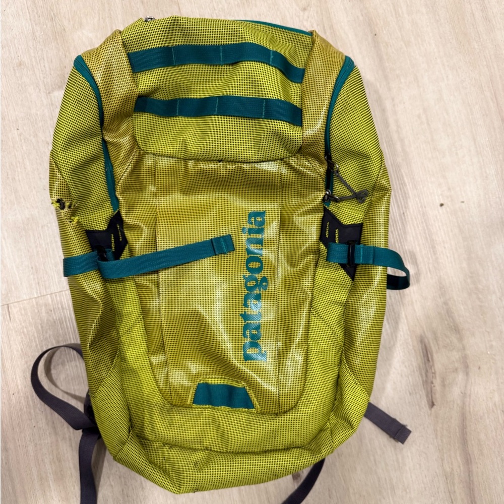 Patagonia Neon Green and True Teal Backpack